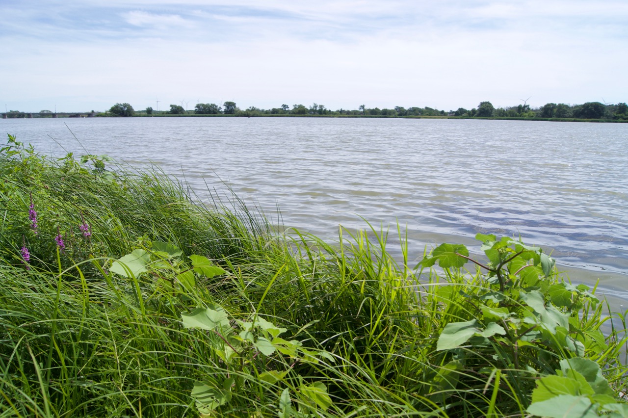 The Grant Diver widens at Dunnville